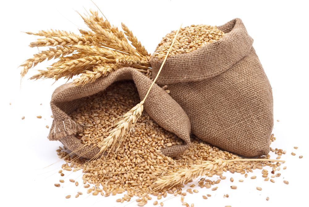 Why I cut out Wheat and why you might want to think about doing so too